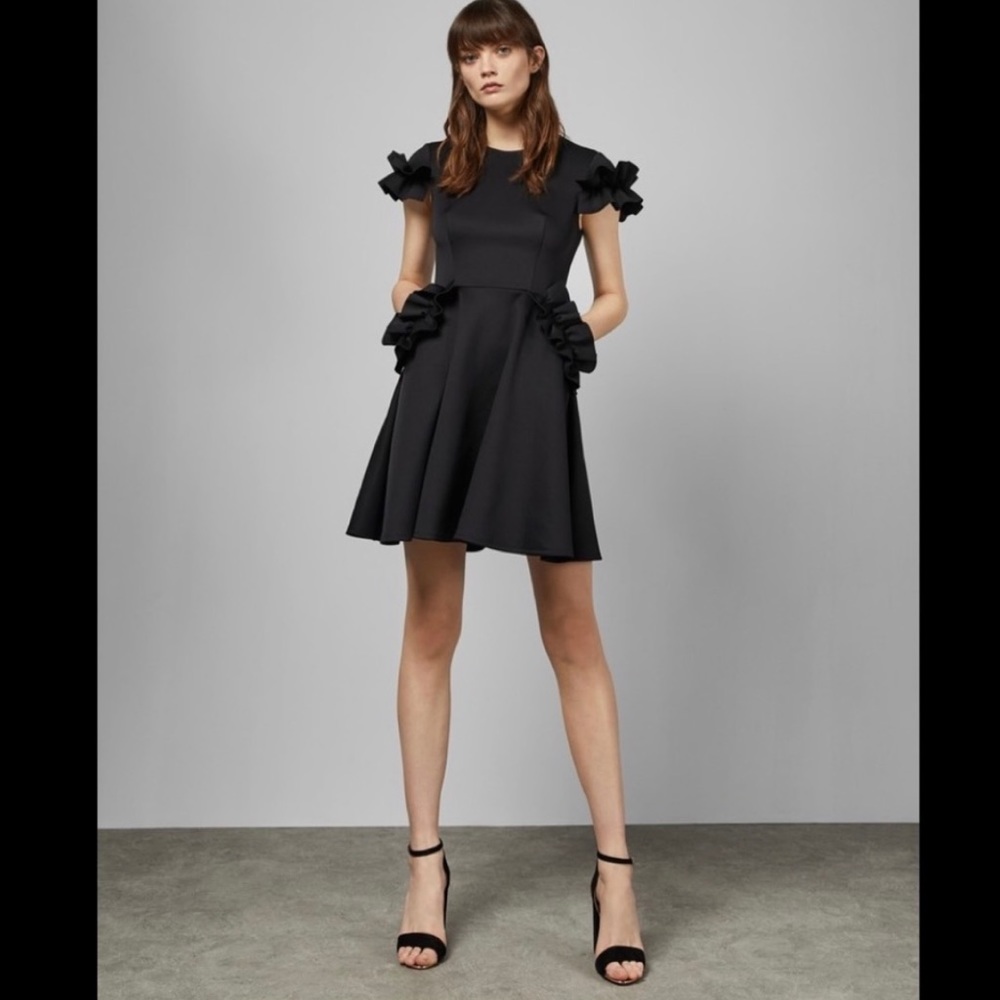NWT Ted Baker Luuciee Ruffle Trimmed Skater Dress
